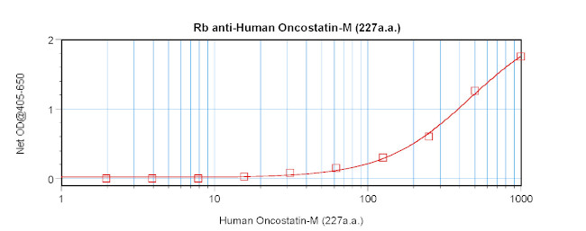 Oncostatin M Antibody in ELISA (ELISA)