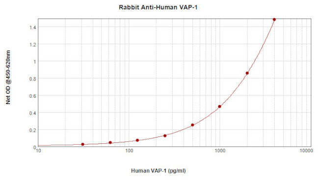 VAP-1 Antibody in ELISA (ELISA)