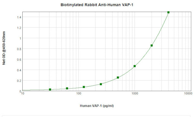 VAP-1 Antibody in ELISA (ELISA)