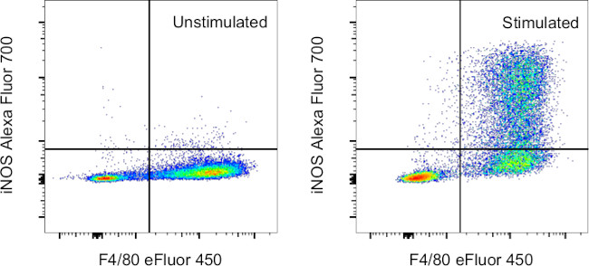 iNOS Antibody in Flow Cytometry (Flow)