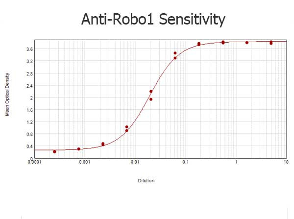 ROBO-1 Antibody in ELISA (ELISA)