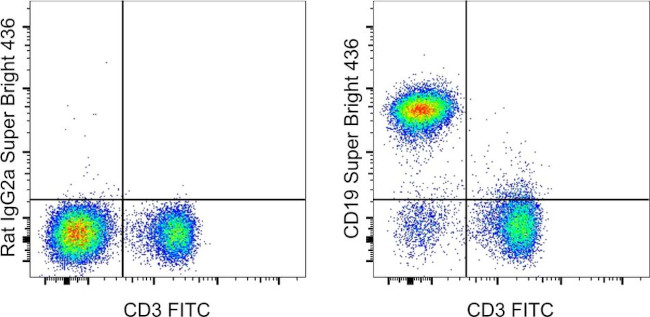 CD19 Antibody in Flow Cytometry (Flow)