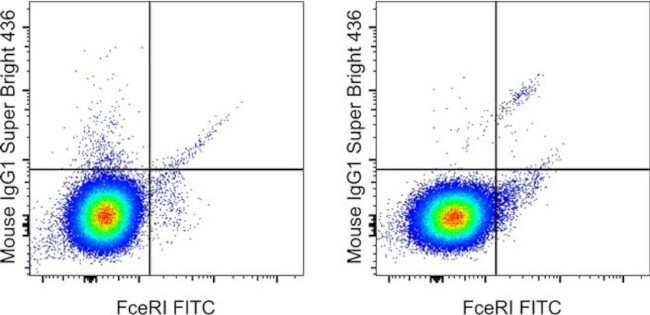 IgE Antibody in Flow Cytometry (Flow)