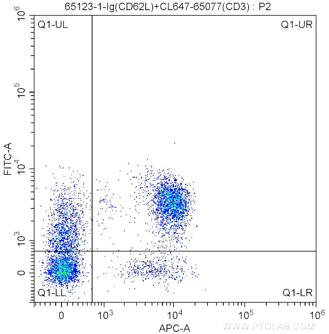 CD62L (L-Selectin) Antibody in Flow Cytometry (Flow)