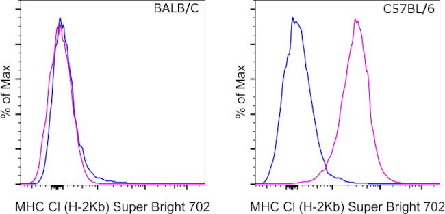 MHC Class I (H-2kb) Antibody in Flow Cytometry (Flow)