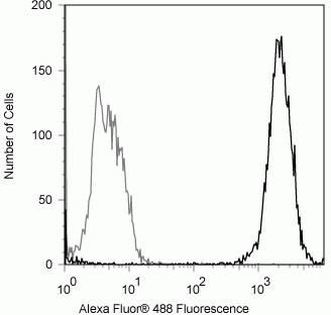 SMAD2 Antibody in Flow Cytometry (Flow)