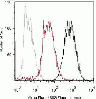 TAK1 Antibody in Flow Cytometry (Flow)