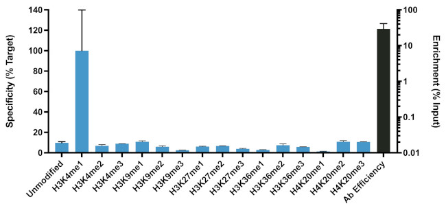 H3K4me1 Antibody