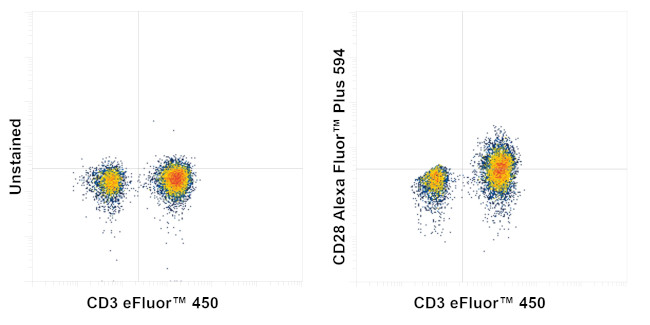 CD28 Antibody