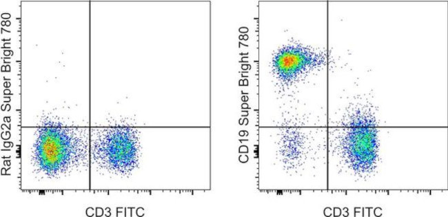 CD19 Antibody in Flow Cytometry (Flow)