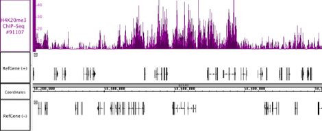 Histone H4K20me3 Antibody in ChIP-Sequencing (ChIP-Seq)
