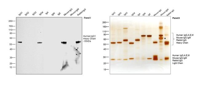 Mouse Anti Human Igg1 Fc Hrp A 10648