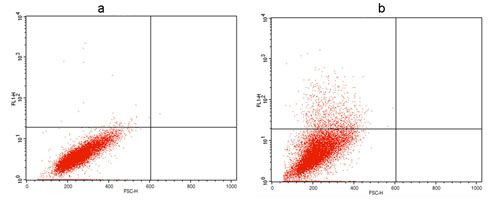 V5 Tag Antibody in Flow Cytometry (Flow)