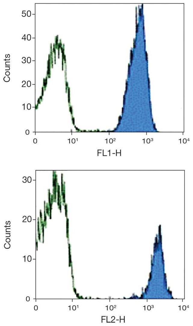 CD45 Antibody in Flow Cytometry (Flow)