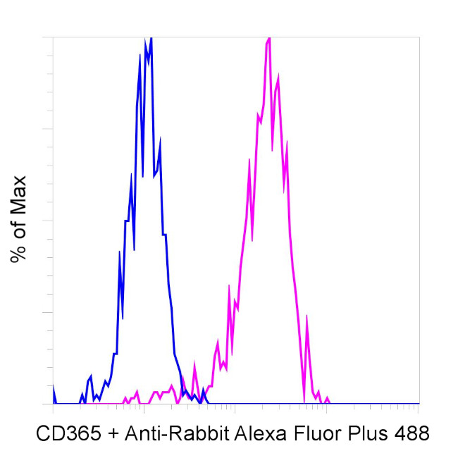 Rabbit IgG (Heavy chain) Secondary Antibody in Flow Cytometry (Flow)