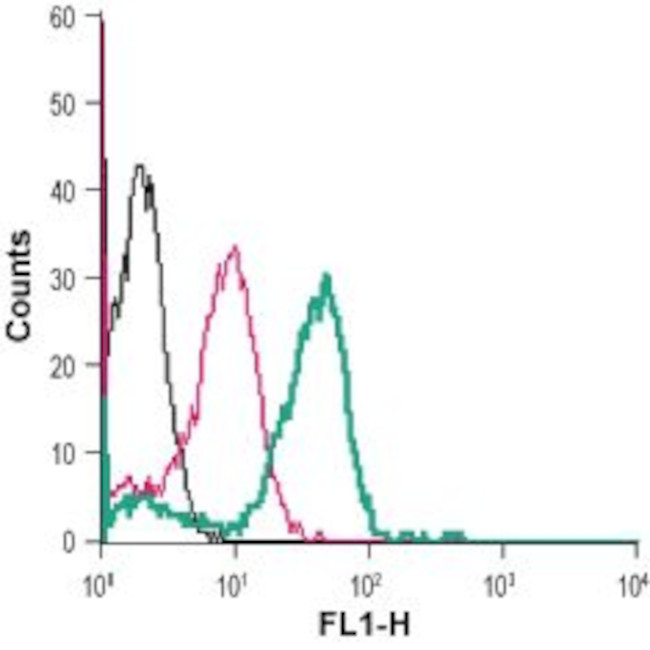 Adenosine A2B Receptor (extracellular) Antibody in Flow Cytometry (Flow)