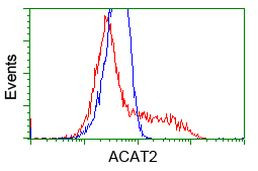 ACAT2 Antibody in Flow Cytometry (Flow)