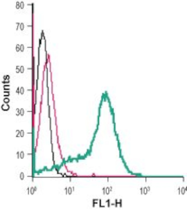 TRPM2 (extracellular) Antibody in Flow Cytometry (Flow)