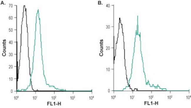 CXCR7 (ACKR3) (extracellular) Antibody in Flow Cytometry (Flow)