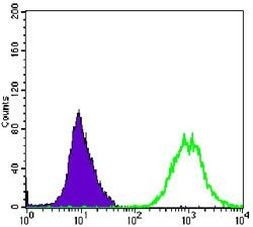 Alpha-Smooth Muscle Actin Antibody in Flow Cytometry (Flow)