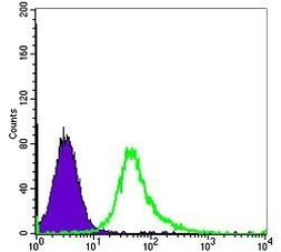 Alpha-Smooth Muscle Actin Antibody in Flow Cytometry (Flow)