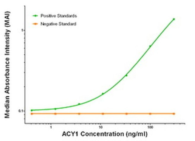 ACY1 Antibody in ELISA (ELISA)