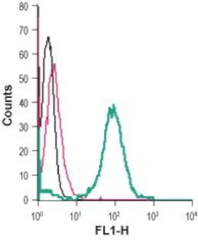 EphA6 (extracellular) Antibody in Flow Cytometry (Flow)