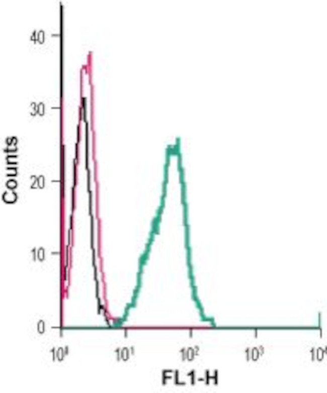 GPR84 (extracellular) Antibody in Flow Cytometry (Flow)