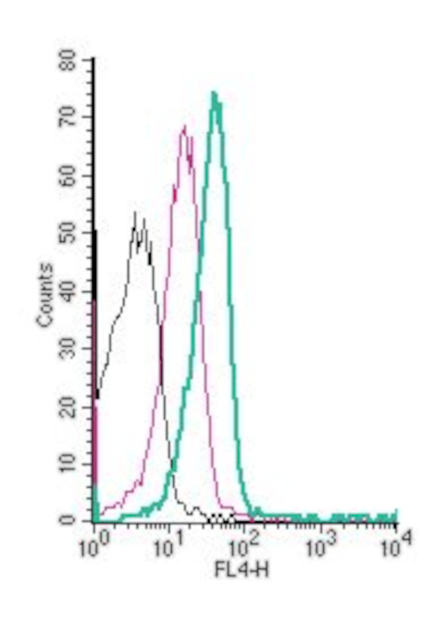 MCT1 (SLC16A1) (extracellular) Antibody in Flow Cytometry (Flow)