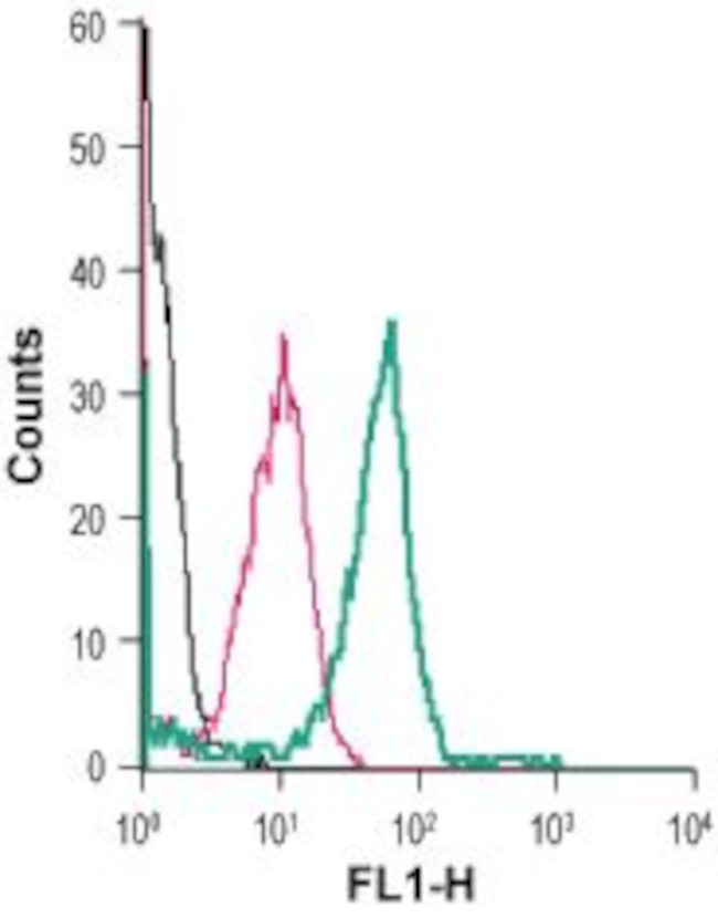 Neuropilin-2 (NRP2) (extracellular) Antibody in Flow Cytometry (Flow)