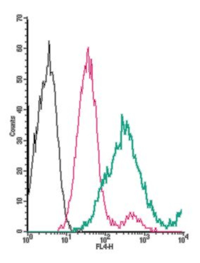 TMEM119 (extracellular) Antibody in Flow Cytometry (Flow)