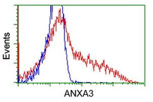 ANXA3 Antibody in Flow Cytometry (Flow)