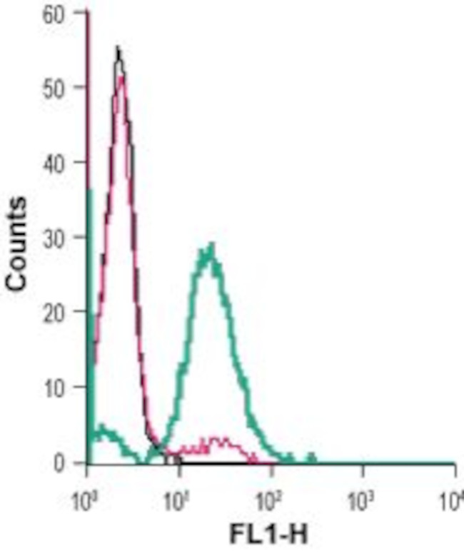 mu-Opioid Receptor (OPRM1) (extracellular) Antibody in Flow Cytometry (Flow)