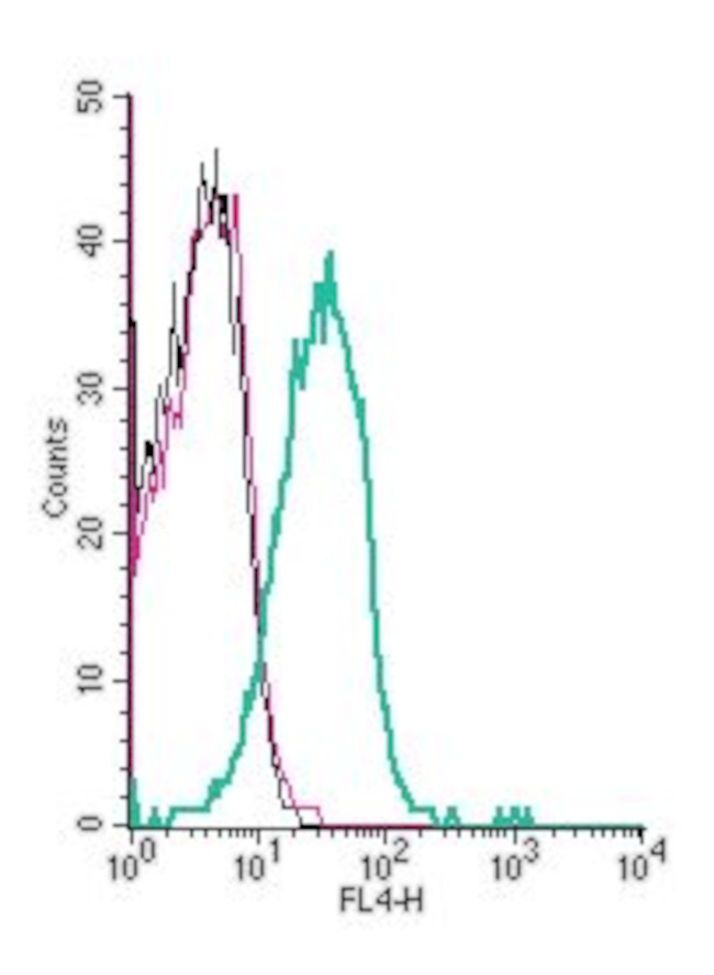 KV1.3 (KCNA3) (extracellular) Antibody in Flow Cytometry (Flow)