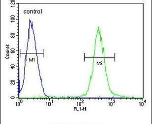 ATP8B2 Antibody in Flow Cytometry (Flow)