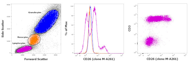 CD26 Antibody