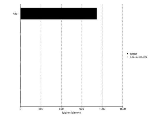 c-Abl Antibody