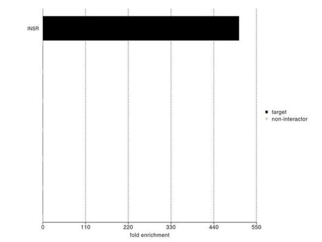 INSR alpha Antibody