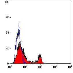 CD40 Antibody in Flow Cytometry (Flow)