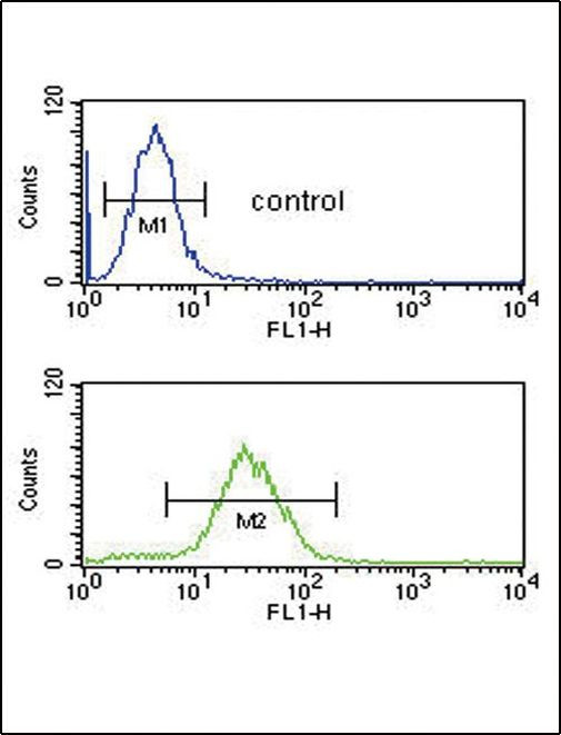 Cofilin Antibody in Flow Cytometry (Flow)