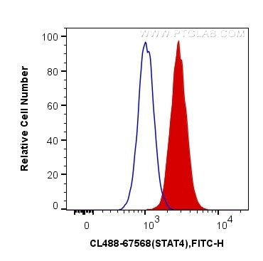 STAT4 Antibody in Flow Cytometry (Flow)