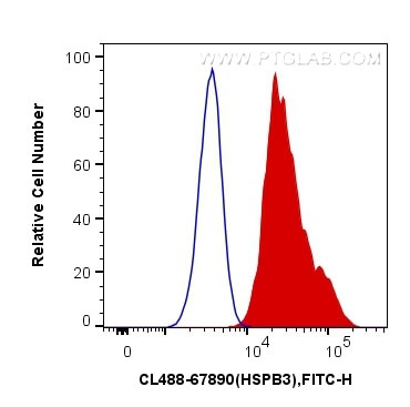 HSPB3 Antibody in Flow Cytometry (Flow)