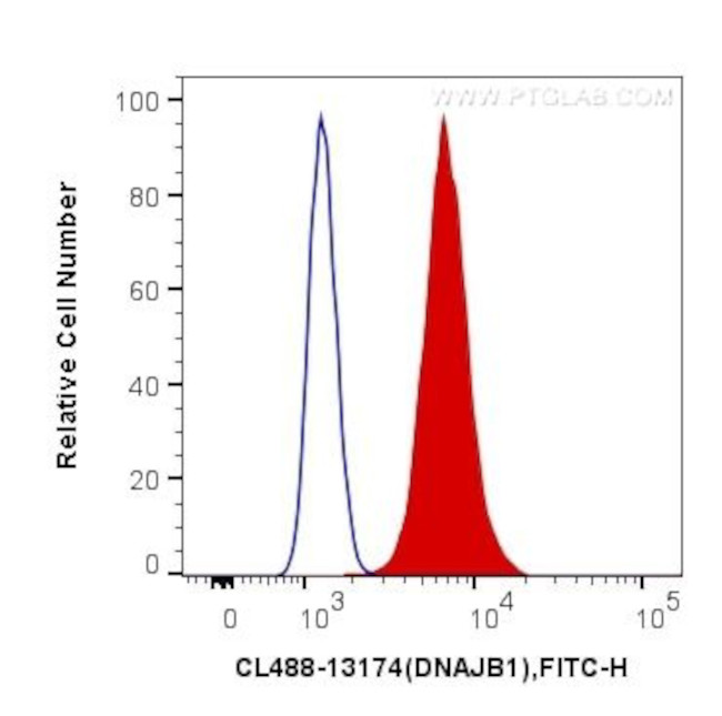 DNAJB1 Antibody in Flow Cytometry (Flow)