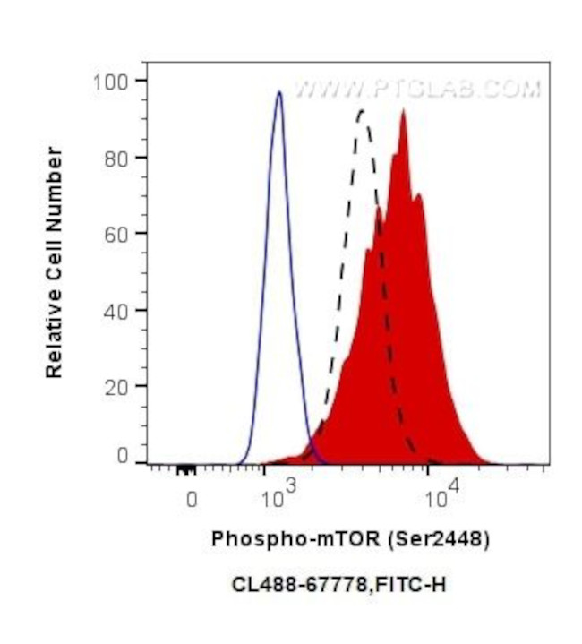 Phospho-mTOR (Ser2448) Antibody in Flow Cytometry (Flow)