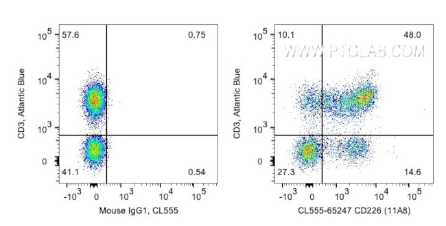 CD226 Antibody in Flow Cytometry (Flow)