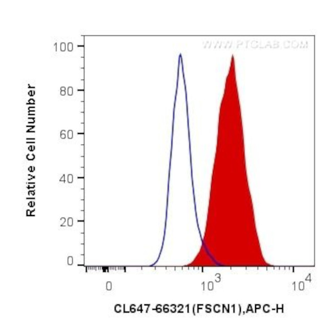 Fascin Antibody in Flow Cytometry (Flow)