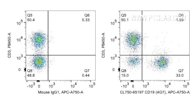 CD19 Antibody in Flow Cytometry (Flow)