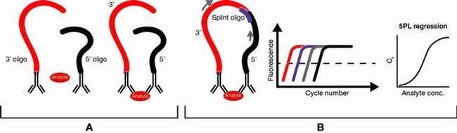 Human Flt-3 Ligand ProQuantum Immunoassay Kit