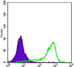 Torc1 Antibody in Flow Cytometry (Flow)