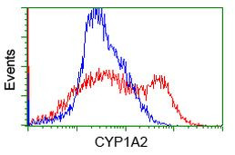 CYP1A2 Antibody in Flow Cytometry (Flow)